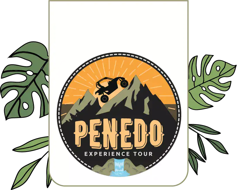 logo penedo