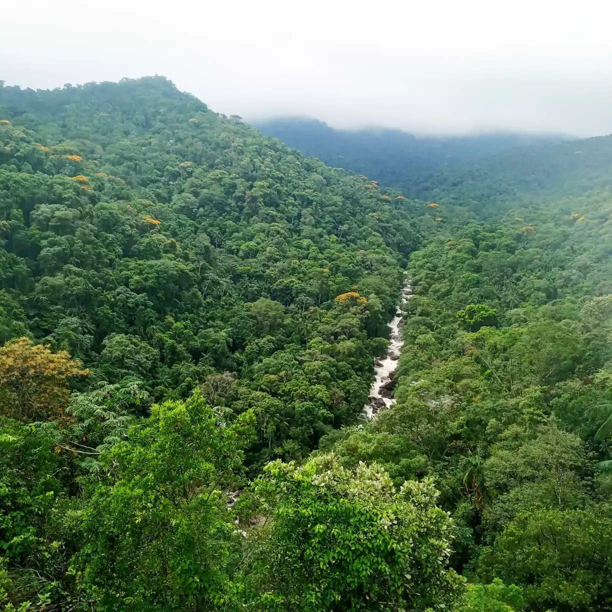 O que é um Parque Nacional?